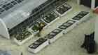 21535 Noch N-z Scale Plantation 4007246215355