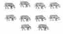 30018 The N Scale Architect Z Beef Cows 10 30018 The N Scale Architect Z Beef Cows 10