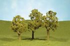 32208 Bachmann All Scales 5-1-2 Elm