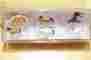 88578 Z Preiser Scale Assorted Horses Animal Figures