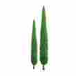 94215 Jtt Scenery Products Professional Series 1 Poplar Trees 6 Pk Z-scale