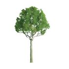 Jtt94248 94248 Jtt Scenery Products Professional