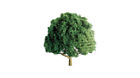 Jtt94264 94264 Jtt Professional Tree Oak 734560942646