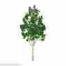 Jtt94301 94301 Jtt Scenery Products Professional Series 1 Mountain Gum Tree 6 Pk Z-scale