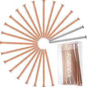 Frienda Nails-01 20 Pcs Pure Copper Nails For Killing Youth Large / 11-13 Transparent