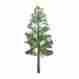 Jtt94290 94290 Jtt Scenery Products Professional Series 1.5 Pine Tree 6 Pk Z-scale