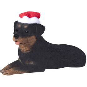 Xso13402 Sandicast Rottweiler