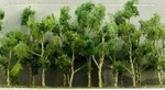 Jtt (n-scale) 95619 Wood Edge Trees Pastel Green 2-2.5" (14 Pk) Nib. Fixed Price $9.85.