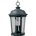 Maxim Dover Cast 3-LIGHT Outdoor Hanging Lantern Bronze 3029CDBZ. Fixed Price $304.20.