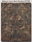 Stunning Stabilized Claro Walnut Lace Burl Scales #7795, 3/4 X 2 1/4 3/8+". Fixed Price $60.45.