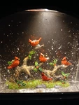 Raz Cardinals On Branch Lighted Water Lantern, Globe Birds Works. Fixed Price $59.99.