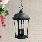 Maxim Dover 20" High Bronze Outdoor Hanging Lantern. Fixed Price $304.20.