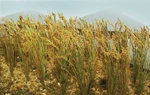 Jtt O Wheat Stalks PKG(40) 05 95636. Fixed Price $14.98.