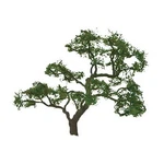 Jtt Scenery Products 94430 2" Professional Beech Tree (pack 3). Fixed Price $14.14.