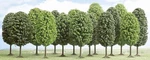 15 Park Trees Busch 6485. Fixed Price $71.45.