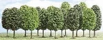 12 Deciduous Trees Busch 6586. Fixed Price $33.90.