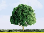 Jtt Ho Oak Trees Professional Series 3IN 7.6CM Tall PKG(2) 94264. Fixed Price $23.98.