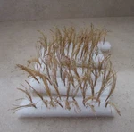 Jtt Wheat Stalks-- Scale Model Railroad Scenery #95636 Ln **lot Of 120. Fixed Price $50.00.