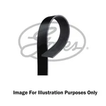Gates Micro-v V-ribbed Belt 7DPK1400 Fits Vw Equivalent To Oe Quality. Fixed Price $71.99.
