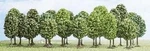 Deciduous Trees (pack Of 25) N/tt/z Gauge Busch 6587. Fixed Price $48.32.