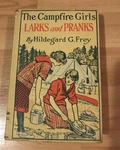1916 The Girls Larks And Pranks Hildegard Frey Burt. Fixed Price $25.00.