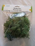 The Moss Collection - Reindeer #spring Green 24 Cu Ho Train (sealed). Fixed Price $9.99.