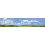 Faller 180514 H0 Schwarzwald-baar Model Railroad Background 3000MM X. Fixed Price $103.81.