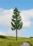 Noch High Trunk Spruce Tree 20197 Ho Scale. Fixed Price $22.00.