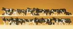Preiser Scale Model Figure/animal Set Black/white Holstein Dairy Cows 30-PK. Fixed Price $51.99.