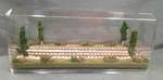 Scale 16" Double Track Display Case- "summer Scene"-for Any Trains. Fixed Price $79.95.
