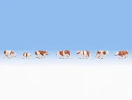 Z Gauge Noch 44251 Seven Brown & White Dairy Cows 1:220 Scale Figures. Fixed Price $18.95.