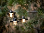 Barebones Living Edison String Lights Bronze Powder-coated Steel Construction. Fixed Price $46.89.