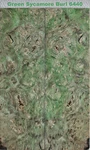 Stabilized Green Sycamore Lace Burl Scale Set #6440, 6" X 1 7/8" 3/8+". Fixed Price $45.00.