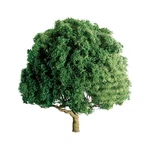 Jtt Scenery Products 94264 Ho And 3" Oak Tree. Fixed Price $20.49.