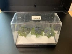 Jtt 94281 TR-1081 Purple Jacaranda Trees With Extra Set 3PK 2.5IN N/ho Scale. Fixed Price $35.99.