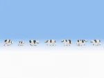 Z Gauge Noch 44250 Seven Black & White Dairy Cows 1:220 Scale Figures. Fixed Price $18.75.