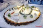 Rokuhan Shorty Christmas Train Diorama Rtr On Real Tree Cookie Z Scale Gauge. Fixed Price $299.95.