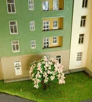 20 Deciduous Trees, Fruit 40 Mm Tall, Pink Whitish Blooming. Fixed Price $8.25.