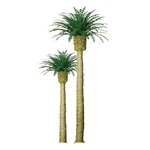 Jtt Scenery Products 94351 Z 1" Phoenix Palm Tree (pack Of 6). Fixed Price $16.68.