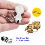 Big Brown Bat Skull - 4MM 1:1 Scale Animal Miniature Replica By The Grail. Fixed Price $22.00.