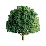 Jtt Scenery Products Professional Series: Oak, 1.5". Fixed Price $25.56.