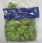 Supermoss Preserved Reindeer Color Enhanced Basil 200 Cu. Ho Train (sealed). Fixed Price $29.99.