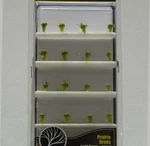 Woodland Scenics Lt Green Prairie Grass 20 Pieces Scenery Landscape WDS776 New. Fixed Price $8.84.