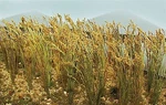 Jtt Wheat Stalks (40) - Scale Model Railroad Grass Scenery #95636. Fixed Price $9.90.