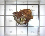 13630 Mm Adamite Mina Ojuela Mapimi Mexico 2318. Fixed Price $10.00.